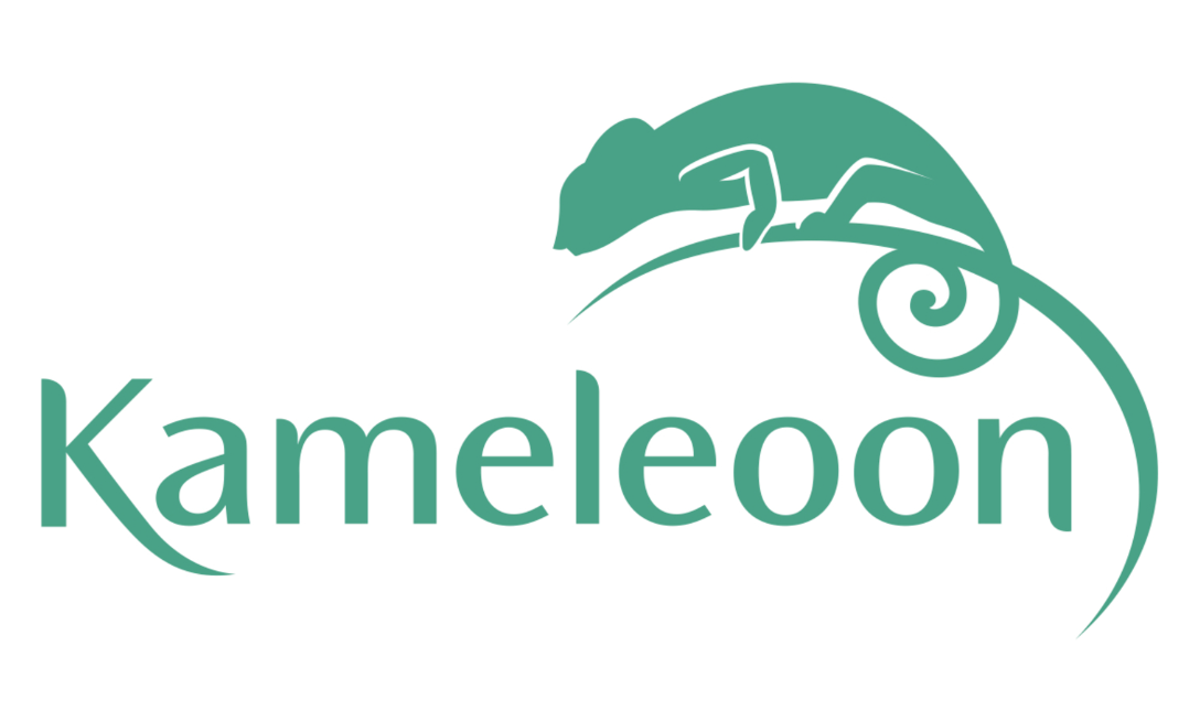 Kameleoon written in light green with a chameleon above it, all on a white background.