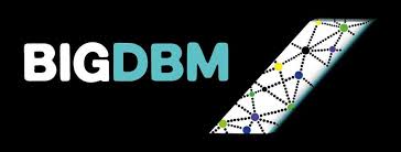 BIGDBM logo