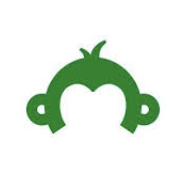 Green monkey head on white background