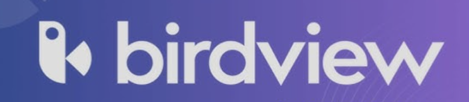 Birdview Logo