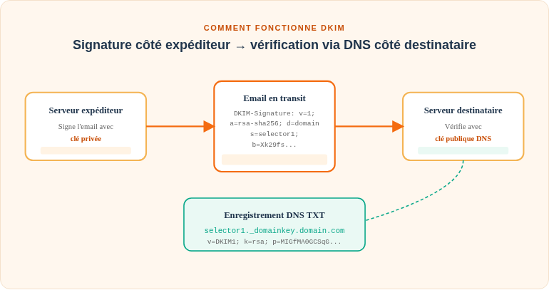 Vis1 Dkim Diagram Fr
