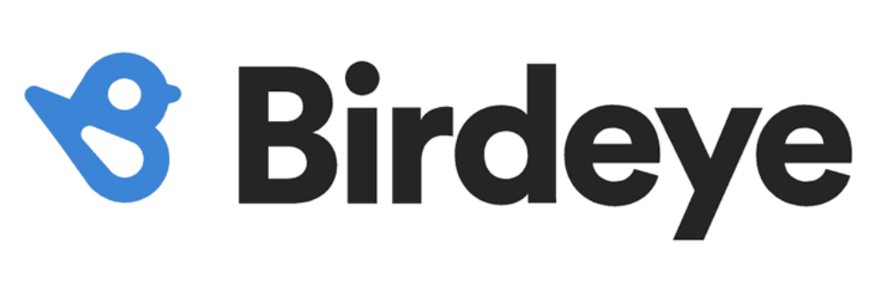 Drawing of a small blue bird and Birdeye written in black on a white background